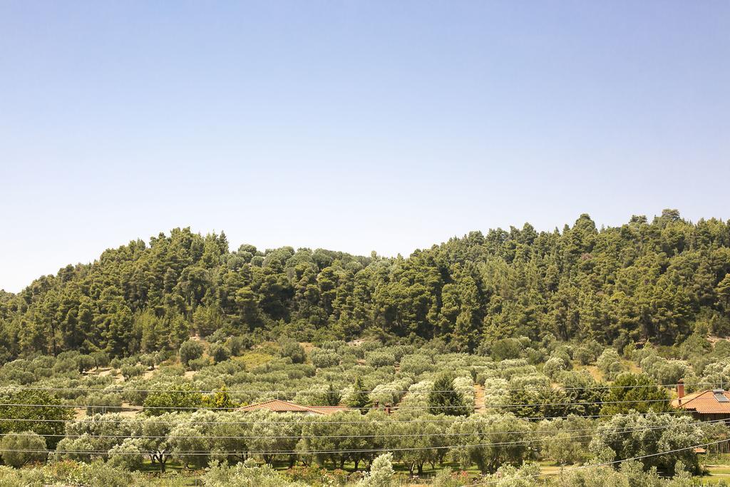 Olive Tree Apartments フォルカ エクステリア 写真